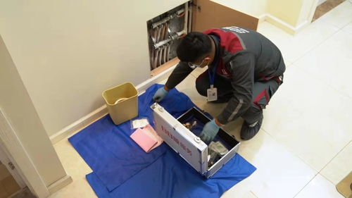 日日順以定制化場景方案賦能用戶體驗,讓健康品質生活成為冬日主旋律